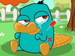 Care Baby Platypus Online Game