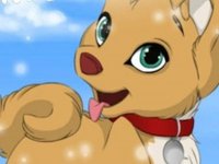 Puppy Maker Online Pet Creator