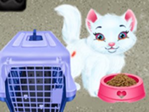 Baby Taylor Pet Care - Save Cute Animals Online Game - Kids Pet Care Game