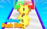 Nailong Rush Run