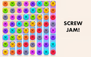 Screw Jam Puzzle