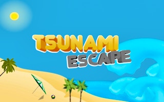 Tsunami Escape Survival Game