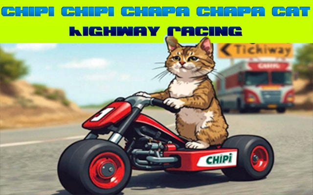 Chipi Chipi Chapa Chapa Cat Highway Racing Game