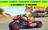 Chipi Chipi Chapa Chapa Cat Highway Racing Game