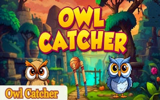 Owl Catcher: Physics Puzzle Adventure