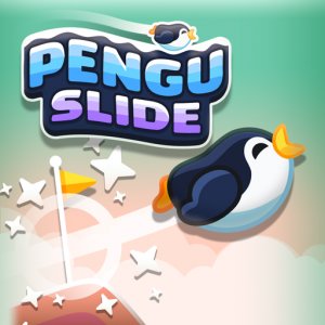 Snowy Penguin Slide Adventure