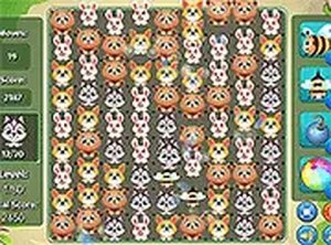 Zoo Cluster Puzzle