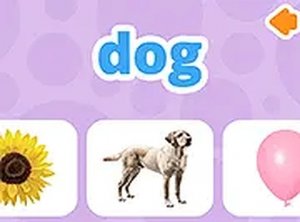 Visual Vocabulary Match